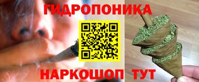 шишки Краснодар
