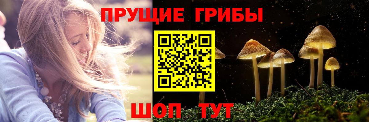Галлюциногенные грибы Cubensis  Вход с VPN  Коркино 